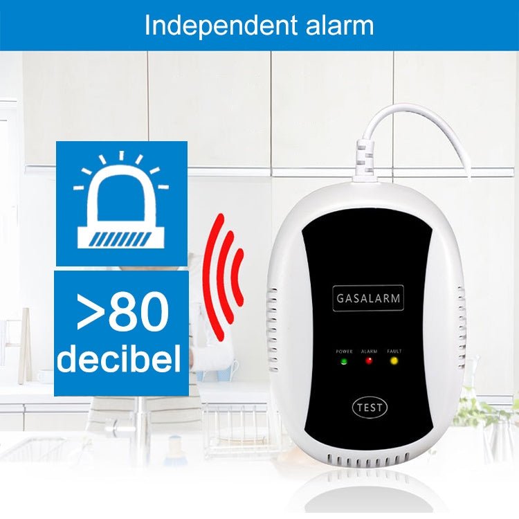 PA - 209R Wireless Gas Detection Alarm, AC 100 - 240V - Trustpick