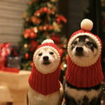 Pet Autumn & Winter Woolen Christmas Hat - Trustpick