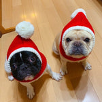 Pet Autumn & Winter Woolen Christmas Hat - Trustpick