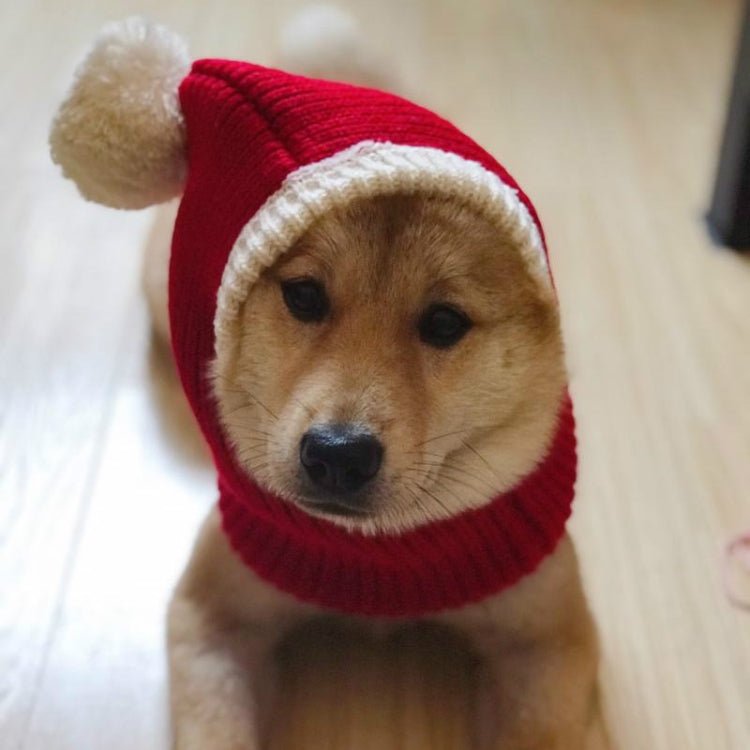 Pet Autumn & Winter Woolen Christmas Hat - Trustpick