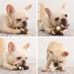 Pet Bite Resistant Toy Nylon Cowhide Molar Teeth Eating Play Bone Dog Toy - Trustpick