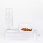 Pet Bowl Anti - tipping Automatic Drinking Water Feeding Bowl - Trustpick