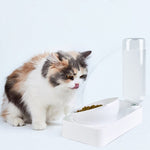 Pet Bowl Anti - tipping Automatic Drinking Water Feeding Bowl - Trustpick