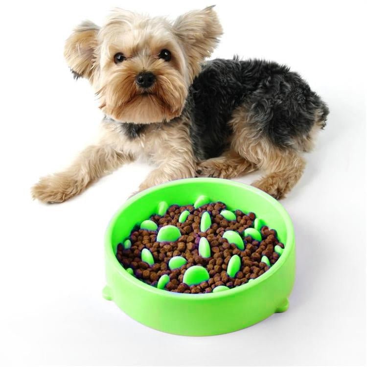 Pet Bowl Preventing Choking PP Bowl - Trustpick