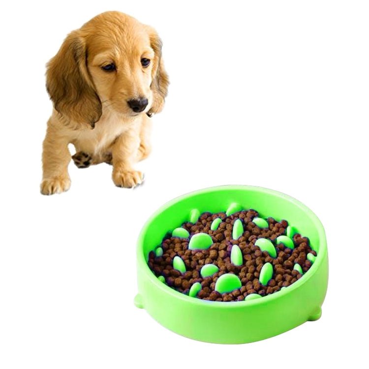 Pet Bowl Preventing Choking PP Bowl - Trustpick