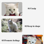 Pet Cat Toy Set Funny Cat Stick Plush Mouse Combo Toy,Specification: - Trustpick