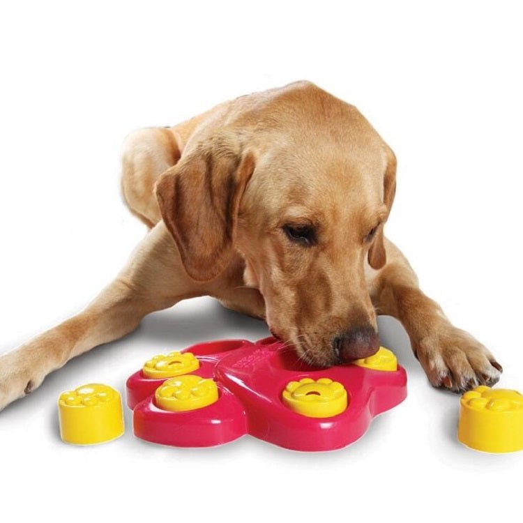Pet Choke Slow Food Bowl Fun Treasure Hunting Pet Educational Toys - Trustpick