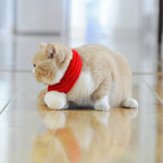 Pet Christmas Wool Scarf Medium & Large Dog Saliva Towel - Trustpick