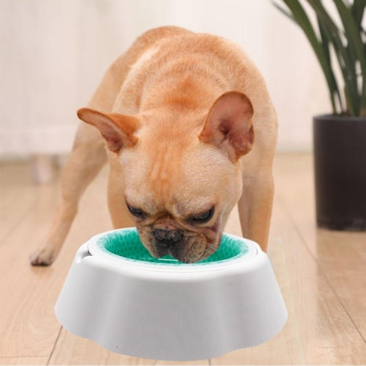 Pet Cooling Speed Cold Bowl Food Bowl - Trustpick