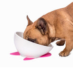 Pet Dog Ceramic Universal Non - slip Food Bowl Feeder - Trustpick