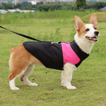 Pet Dog Cotton Vest Ski Suit, Size: 5XL, Chest: 68cm, Back Length: 60cm - Trustpick