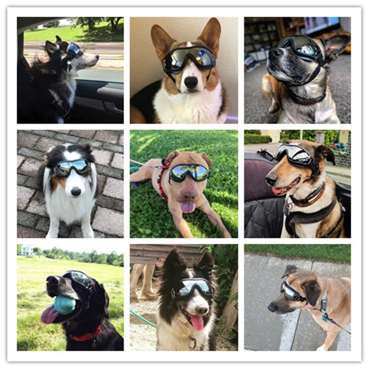 Pet Glasses Big Dog Goggles Waterproof Windproof Sunscreen UV Protection - Trustpick