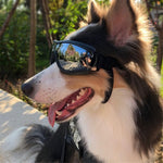 Pet Glasses Big Dog Goggles Waterproof Windproof Sunscreen UV Protection - Trustpick