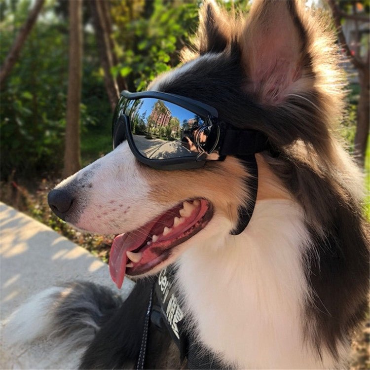 Pet Glasses Big Dog Goggles Waterproof Windproof Sunscreen UV Protection - Trustpick