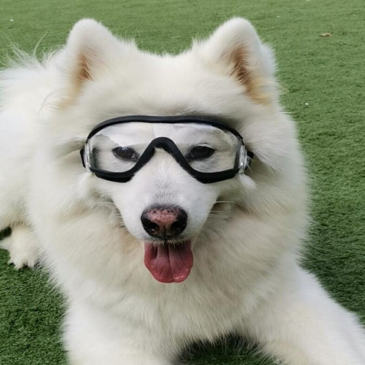 Pet Goggles Dog Transparent Glasses Waterproof Windproof Snowproof Dog Glasses - Trustpick
