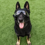 Pet Goggles Dog Transparent Glasses Waterproof Windproof Snowproof Dog Glasses - Trustpick