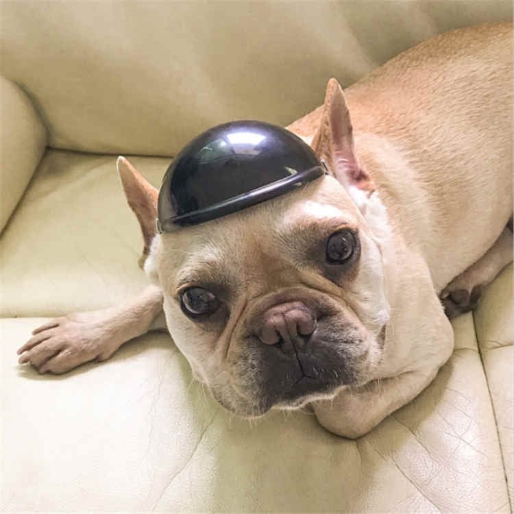 Pet Helmet Locomotive Lelmet Dog Cat Accessories - Trustpick