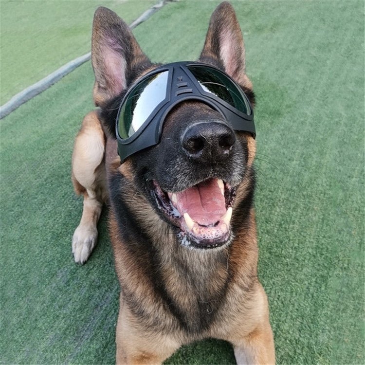 Pet Mask Glasses Waterproof And Snowproof Soft Frame Goggles Dog Supplies Sunglasses - Trustpick