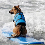 Pet Saver Dog Reflective Stripes Life Vest Jacket for Swimming Boating Surfing, Size: XS - Trustpick