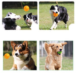 Pet Sounding Toy Hedgehog Ball Golden Retriever Molar Bite Resistant Tooth Toy for Large Pets, Medium, Diameter: 9cm, Random Color Delivery - Trustpick