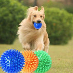Pet Sounding Toy Hedgehog Ball Golden Retriever Molar Bite Resistant Tooth Toy for Large Pets, Small, Diameter: 6.5cm, Random Color Delivery - Trustpick