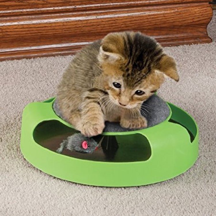 Pet Supplies Cat Plastic Catch the Mouse Interactive Turntable Pet Toys - Trustpick