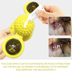 Pet Toy Cat Turntable Funny Cat Toy Scratch Scratching - Trustpick