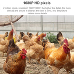 QX5 2.0 Million Pixels 1080P HD 20X Zoom Wireless WiFi Dome Smart Camera, Support Infrared Night Vision / Motion Detection / Voice Intercom / TF Card, AU Plug - Trustpick