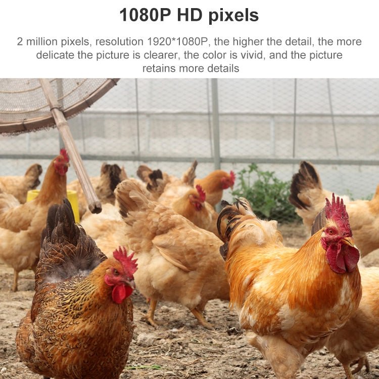 QX5 2.0 Million Pixels 1080P HD 20X Zoom Wireless WiFi Dome Smart Camera, Support Infrared Night Vision / Motion Detection / Voice Intercom / TF Card, AU Plug - Trustpick