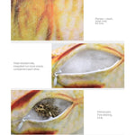 Simulation Fish Toy Funny Cat Toy Fish Stuff Scratching Post Board Toy, Middle Size: 41.0 x 13.5 x 9.0cm - Trustpick