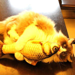 Simulation Fish Toy Funny Cat Toy Fish Stuff Scratching Post Board Toy, Small Size: 21.5 x 8.0 x 5.0cm - Trustpick