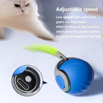 Smart Self Rolling Ball Interactive Cat Toys USB Rechargeable Cat Ball Two Speed Adjustment - Trustpick