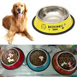 Stainless Steel Bowls, Anti - slip Colorful Paint Printed Pets Bowls, Bowl Diameter: 13 cm, Bowl Bottom Diameter: 17.7 cm - Trustpick
