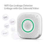 TY - GSA - 87 Smart Home WIFI Gas Detector - Trustpick