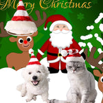 Western Red and White Striped Pet Dog Christmas Hat, Comfortable Children Dressing Up Christmas Hat - Trustpick