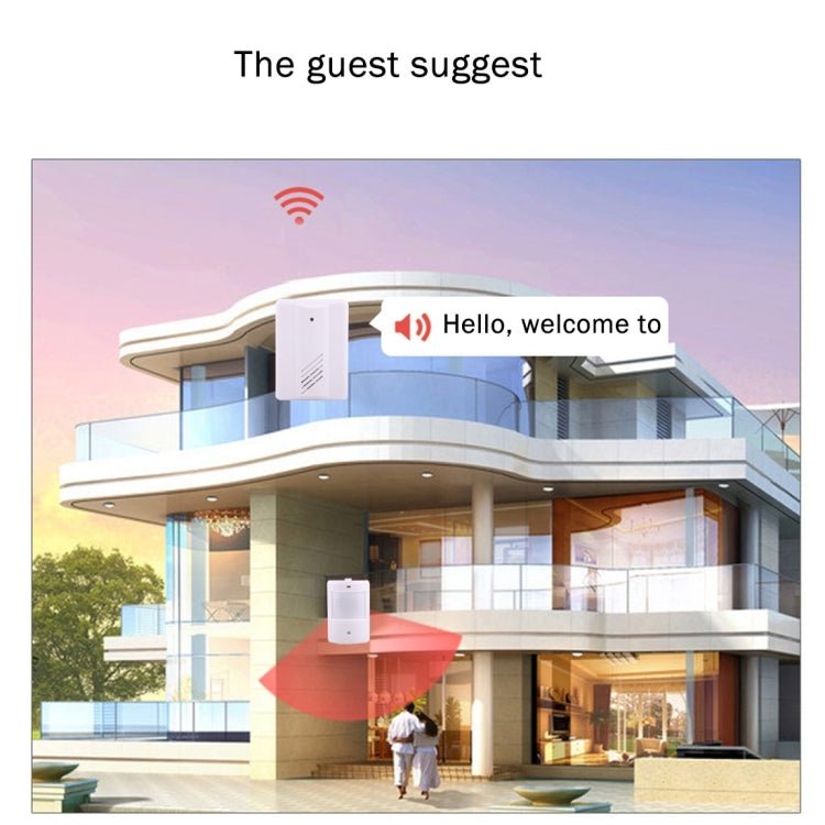 YF - 0155 Good Safe Wireless Electro Guard Watch Remote Detective System Kit for Home Office, 1 x Receiver + 1 x Detector - Trustpick